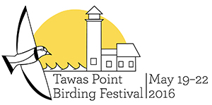 Final Tawas Logo