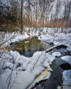Winter at Ronald H. Warner Sanctuary - by Laura C.