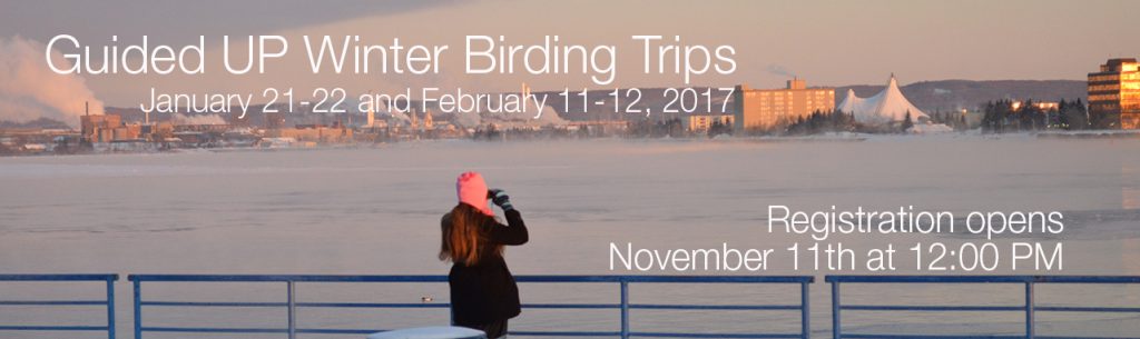 up_birding_trip_slider