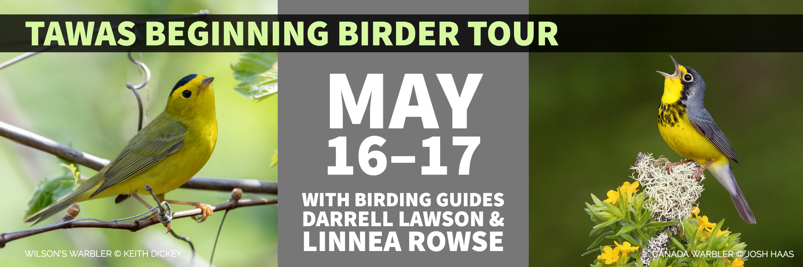 CANCELED Tawas Beginning Birder Tour Michigan Audubon