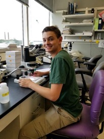 Joseph Pastori identifying ticks with a dissecting microscope.