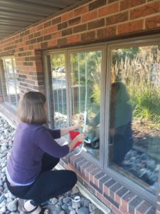 Applying window tape to prevent bird-window collisions.