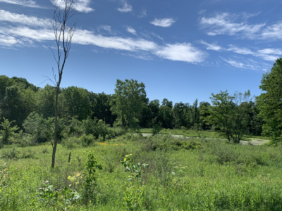 Lake at Bernard W. Baker Sanctuary by Molly Engelman