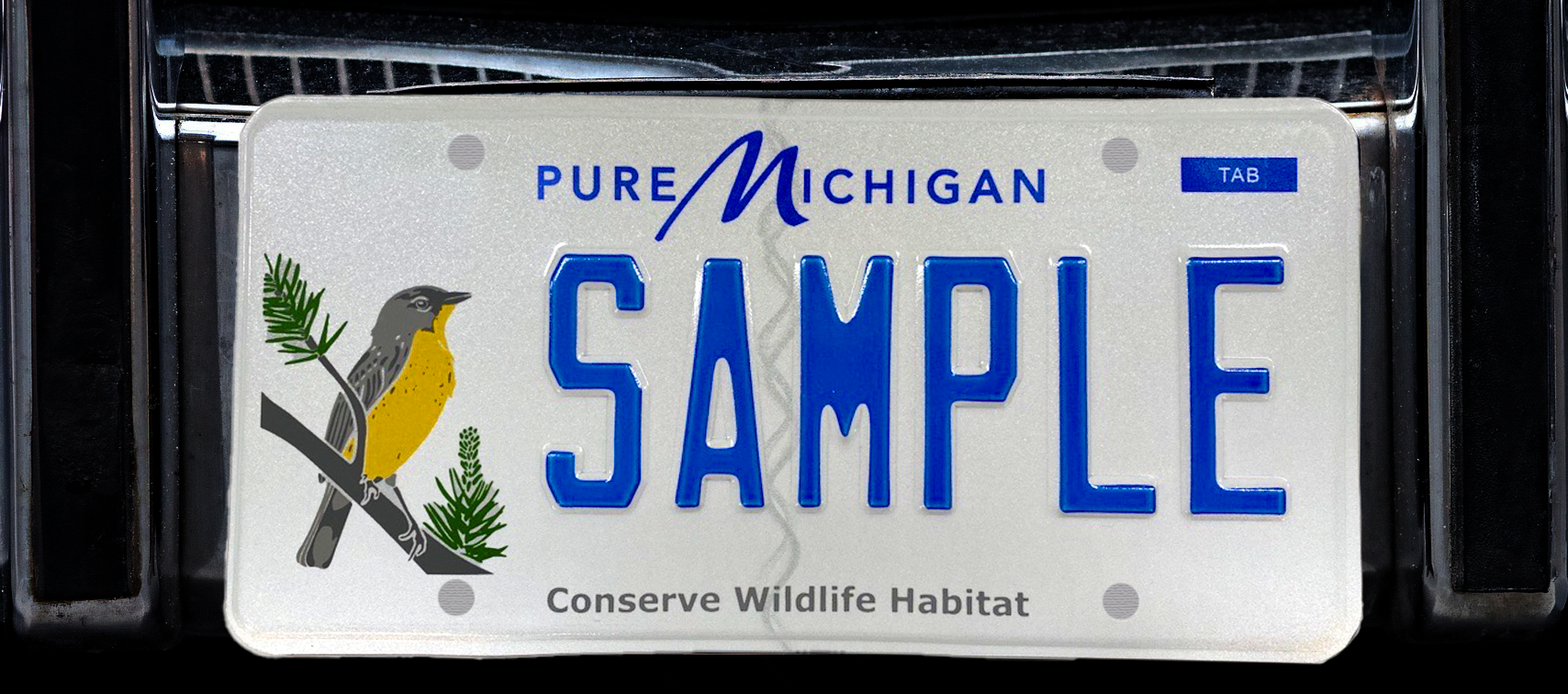 Kirtland’s Warbler To Be Featured on Michigan License Plate in 2022