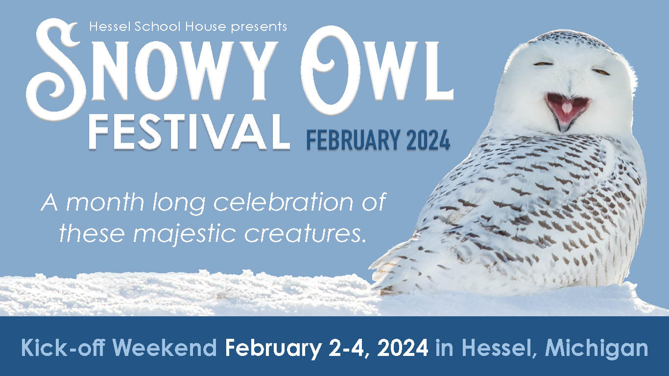 Festivals In Michigan February 2025