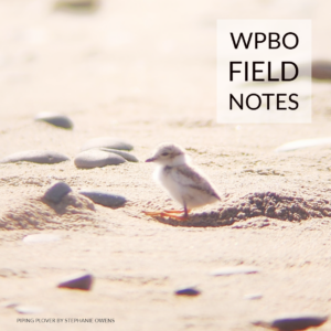 Link to WPBO Field Notes