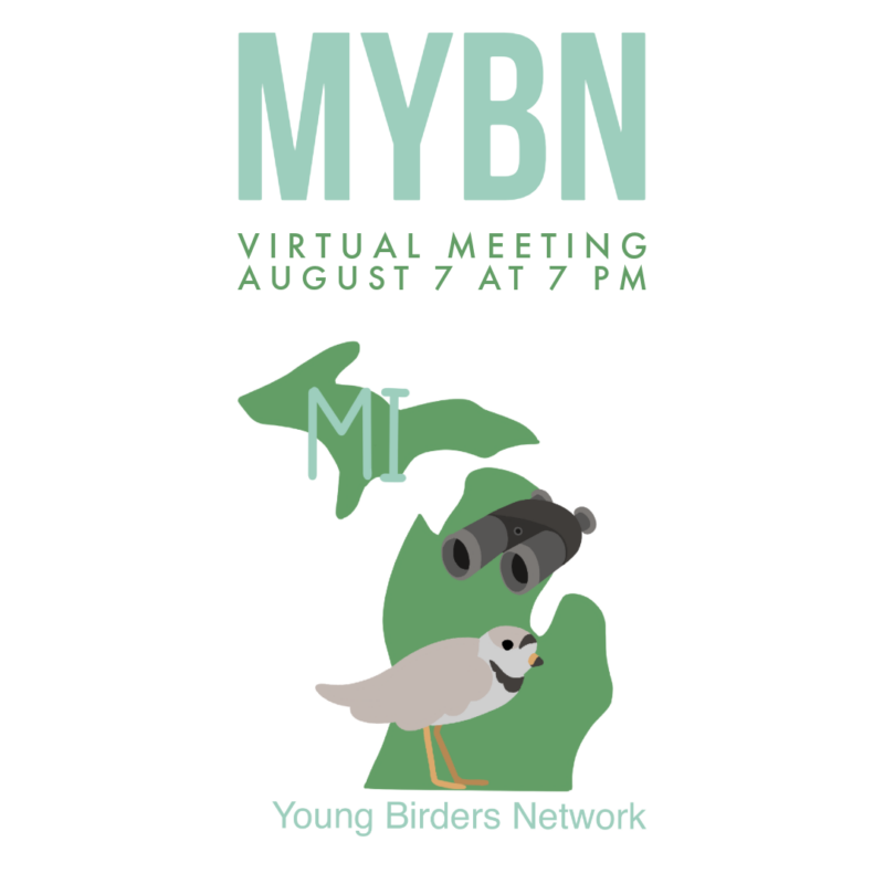 Link to MYBN August 24 Meeting
