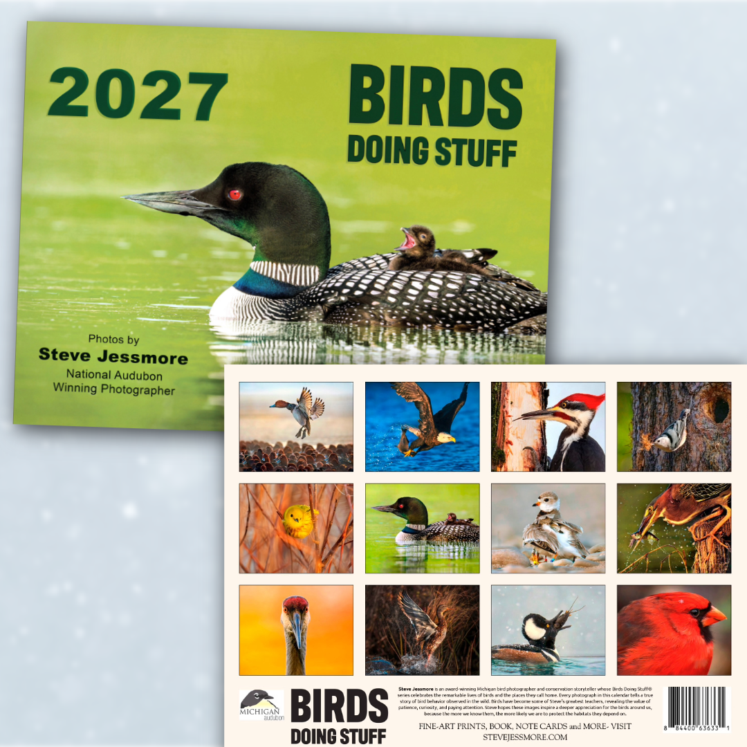Birds Doing Stuff Calendar